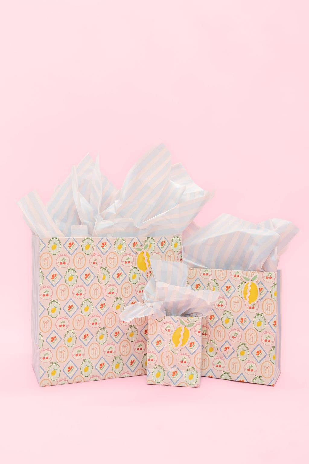 Fruit Cocktail + Stripe Gift Bag - Ric Rac Handle + Gift Tag: Large
