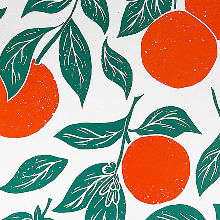 Pocket Decomposition Book- Oranges
