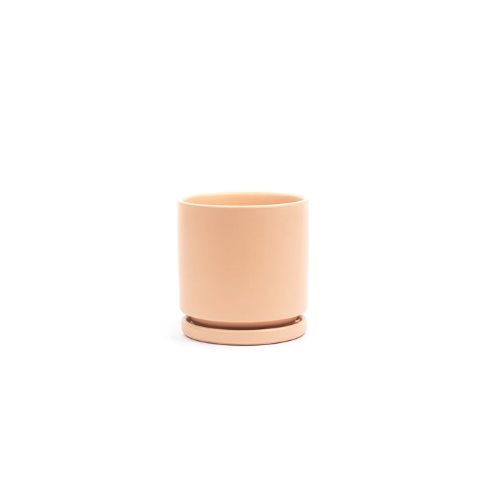 4.5" Gemstone Cylinder Pot with Water Saucer