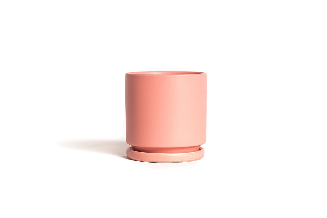 8.25" Gemstone Cylinder Pots with Water Saucers - Bubblegum