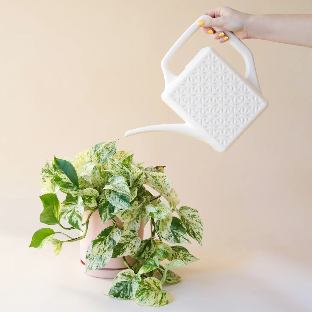 Breeze Block Watering Can - Ivory
